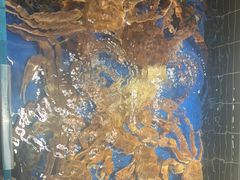 -阿明小菜·海鲜·上海菜(梅陇店)