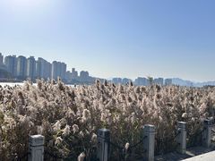 -江心屿景区