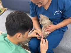 -派美特宠物医院·核磁CT·骨科肿瘤·疑难转诊(沈农禾丰店)