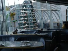 -Hi City·城市之巅