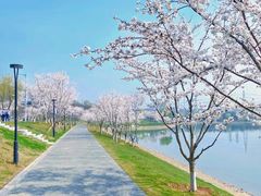 -羊山湖公园