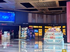 -万达影城(闵行颛桥万达广场杜比影院店)