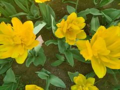 -长春公园(普阳街道)