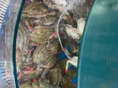 -蓝珊甄选海鲜自助·火锅大排档(近阿那亚店)