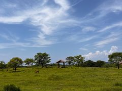 -良渚古城遗址公园