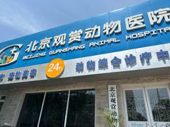 -北京观赏动物医院·24小时大型综合·猫专科·异宠专科