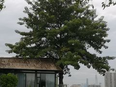 -喜洲吧·江畔老船厂·庭院餐厅(喜临院店)