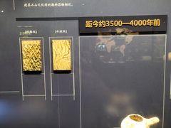 -温州博物馆