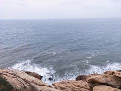 -广东惠东海龟国家级自然保护区