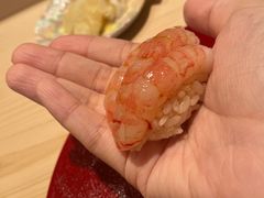 甜虾寿司-嶺寿司