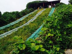 -竹泉村旅游度假区