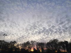 -哈尔滨师范大学-第2学生食堂