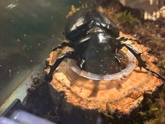 -太平洋海底世界