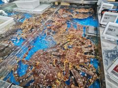 -盒马鲜生(领丰汇店)