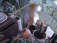 -About Bistro關於·泰式家庭料理