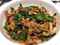 湘村黑猪辣椒炒肉-壹盏灯(惠农店)