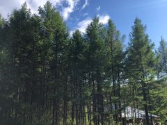 -香炉山国家森林公园