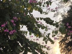 -广东食品药品职业学院(龙洞校区)