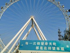-日照海滨国家森林公园