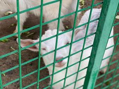 -同里湖度假村(二期店)