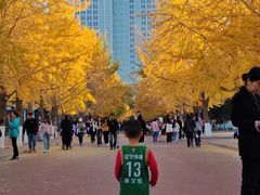 -辽宁大学(崇山校区)
