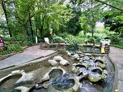 -成都市活水公园
