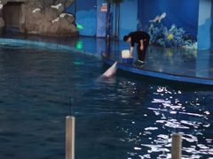 -苏州海洋馆
