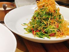 巧拌豆苗-四季民福烤鸭店(西单华威约饭街店)