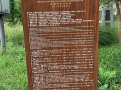 -白鹭湾湿地公园