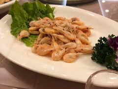 白灼白米虾-昌正春天酒店-海鲜餐厅
