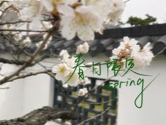 -Beans Solo豆号咖啡(百家湖花园店)