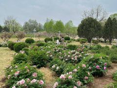 -济南国际园博园