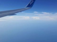 -全日本空输株式会社(上海办事处)