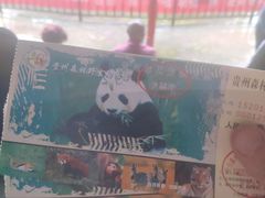 -贵州森林野生动物园