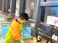 -怪兽屋·羊驼·猫咖·狗咖(俊华广场店)