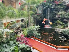 -广州白天鹅宾馆