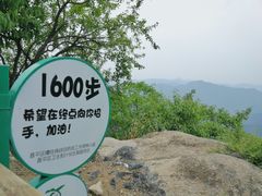 -大岭沟猕猴桃谷风景区