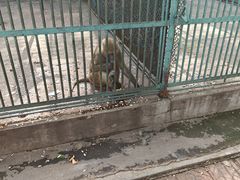 -秦皇岛野生动物园