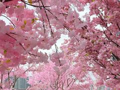 -首开·龙湖成都西宸天街