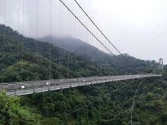 -南丹山森林王国