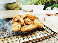 -吴淞炮台湾湿地森林公园烧烤区