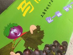 -马陆小张葡萄园农家乐