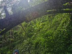 -青青世界