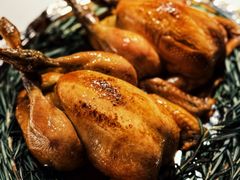 -Oyster Talks 四度蚝法餐厅