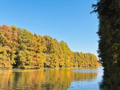 -上海海湾国家森林公园