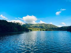 -深圳仙湖植物园