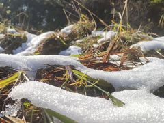 -樱桃山旅游景区