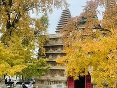 -北京石刻艺术博物馆(五塔寺)