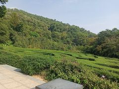 -大屏嶂森林公园