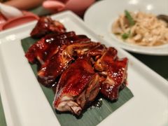 -老吉堂上海本帮菜(望京万象汇店)